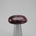 Pink Sapphire Tumblestone ~25mm