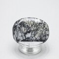 Pinolite Polished Flat Tumblestone ~39mm
