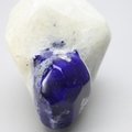 Polished Lapis Crystals on White Quartz ~51 x 41mm