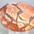 Poppy Jasper Palmstone (Extra Grade)  ~70x50mm