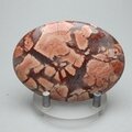 Poppy Jasper Palmstone (Extra Grade)  ~70x50mm