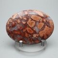 Poppy Jasper Palmstone (Extra Grade)  ~70x50mm