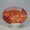 Poppy Jasper Palmstone (Extra Grade)  ~70x50mm