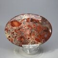 Poppy Jasper Palmstone (Extra Grade)  ~70x50mm