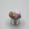 Prairie Tanzanite Tumblestone ~24mm
