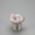Prairie Tanzanite Tumblestone ~30mm