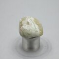 Prasiolite Tumblestone ~23mm