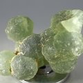 Prehnite Healing Crystal ~45mm