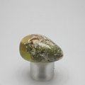 Prehnite Tumblestone ~33mm