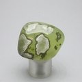 Prehnite Tumblestone ~37mm