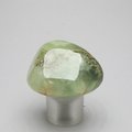 Prehnite Tumblestone ~37mm