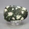 Preseli Stonehenge Bluestone Polished Stone ~58mm