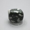 Preseli Stonehenge Bluestone Tumblestone ~29mm