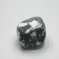 Preseli Stonehenge Bluestone Tumblestone ~30mm
