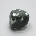 Preseli Stonehenge Bluestone Tumblestone ~31mm