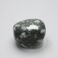 Preseli Stonehenge Bluestone Tumblestone ~33mm