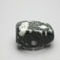 Preseli Stonehenge Bluestone Tumblestone ~38mm