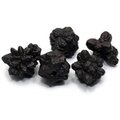 Prophecy Stone (Limonite after Marcasite) - Large