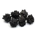 Prophecy Stone (Limonite after Marcasite) - Medium