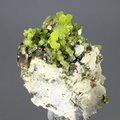 Pyromorphite Crystal Cluster ~30mm