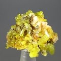 Pyromorphite Crystal Cluster ~32mm