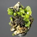Pyromorphite Crystal Cluster ~33mm