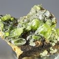 Pyromorphite Crystal Cluster ~35mm