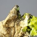 Pyromorphite Crystal Cluster ~48mm