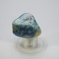 Quantum Quattro Polished Stone ~31mm
