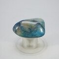Quantum Quattro Polished Stone ~36mm