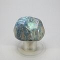 Quantum Quattro Polished Stone ~38mm