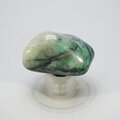 Quantum Quattro Polished Stone ~42mm