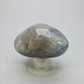 Quantum Quattro Polished Stone ~56mm