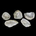 Quartz Geode Crystal Specimen - Mini