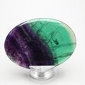 Rainbow Fluorite Palmstone (Extra Grade) ~70x50mm