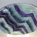 Rainbow Fluorite Palmstone (Extra Grade) ~70x50mm