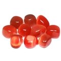 Red Cat's Eye Tumble Stone (20-25mm)