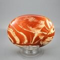 Red Jasper Palmstone (Extra Grade) ~70x50mm