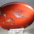 Red Jasper Palmstone (Extra Grade) ~70x50mm