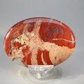 Red Jasper Palmstone (Extra Grade) ~70x50mm