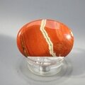 Red Jasper Thumbstone (Extra Grade) ~40x30mm
