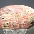 Rhodochrosite Palmstone (Extra Grade) ~57 x 37mm