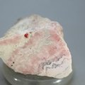 Rhodochrosite Polished Stone ~53mm