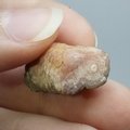 Rhodochrosite Stalagmite Stem ~22mm