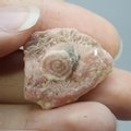 Rhodochrosite Stalagmite Stem ~25mm