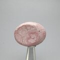 Rhodochrosite Thumbstone (Extra Grade) ~40x30mm
