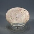 Rhodochrosite Thumbstone (Extra Grade) ~40x30mm