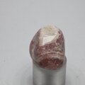 Rhodochrosite Tumblestone ~23mm