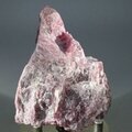 Rhodonite Healing Crystal ~65mm