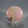 Rhodonite Polished Flat Tumblestone ~40mm